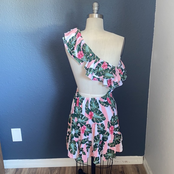 SOLD💔LOVERS AND FRIENDS Amity Mini Dress in Pink Palm Stripe - Picture 4 of 5